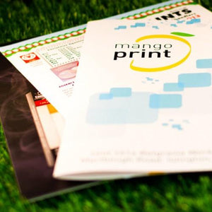 A4 Folded Leaflets | Folded to A5 or DL | 150gsm or 300gsm